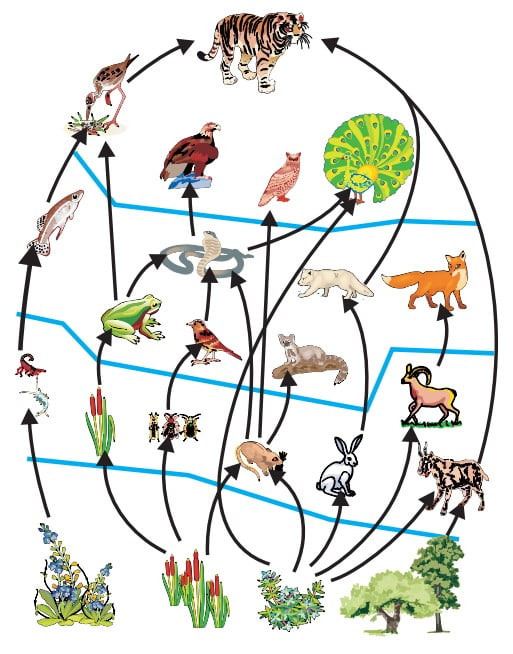 Class 10 Our Environment Chapter 15 - Best Notes - ReadAxis