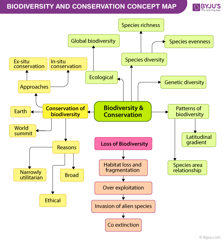 Best Biodiversity and Conservation Class 12 Notes - ReadAxis