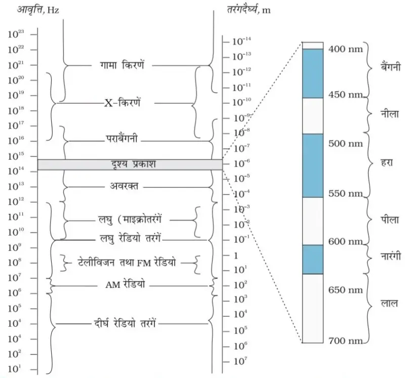 Class 12 Physics Chapter 8 Notes in Hindi वैधुतचुम्बकीय तरंगे 3 विद्युत चुम्बकीय स्पेक्ट्रम