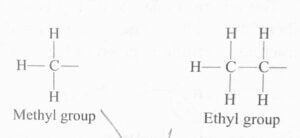 CARBON AND ITS COMPOUNDS CLASS 10th NOTES 12 alkyl group