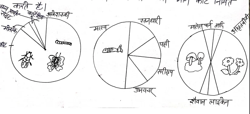 Class 12th Biology Chapter 15 Notes