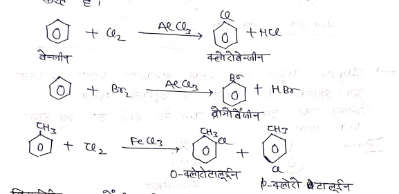 Class 12 Chemistry Chapter 10 Notes in Hindi । हैलोएल्केन और हैलोएरीन नोट्स 61 बेंजीन के हैलोजनीकरण