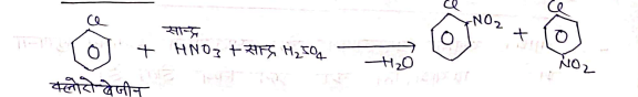 Class 12 Chemistry Chapter 10 Notes in Hindi । हैलोएल्केन और हैलोएरीन नोट्स 76 नाइट्रीकरण