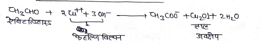 Class 12 Chemistry Chapter 12 Notes in Hindi । ऐल्डिहाइड, किटोन एवं कार्बोक्सिलिक अम्ल नोट्स 13 फेहलिग विलपन द्वारा आक्सीकरण