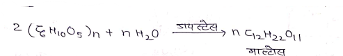 Class 12 Chemistry Chapter 14 Notes in Hindi जैव-अणु 18 माल्टोस