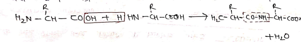 Class 12 Chemistry Chapter 14 Notes in Hindi जैव-अणु 26 पेप्टाइड बन्ध