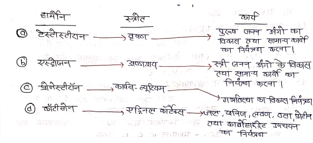 Class 12 Chemistry Chapter 14 Notes in Hindi जैव-अणु 37 स्टेरॉयड हार्मोन