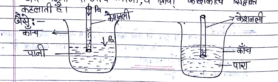 Class 11 Physics Chapter 10 Notes in Hindi तरल पदार्थों के यांत्रिक गुण 13 केशनली/केशिकात्व सिद्धान्त