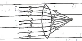 Class 10 Science Chapter 10 Notes in Hindi प्रकाश - परावर्तन तथा अपवर्तन 20 उत्तल लेंस