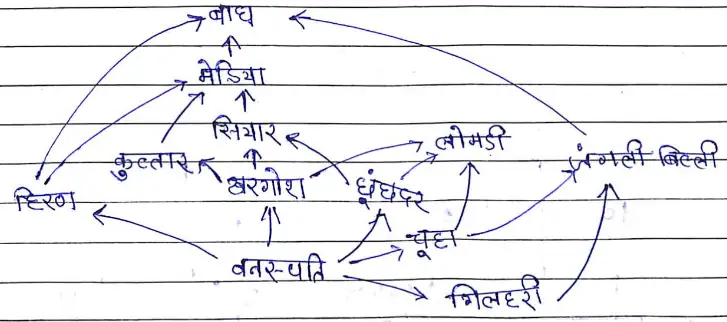 Class 12 Biology Chapter 14 Notes in Hindi पारितंत्र 3 खाद्य जल