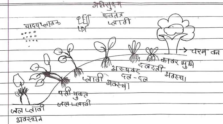 Class 12 Biology Chapter 14 Notes in Hindi पारितंत्र 4 जल अनुक्रमण