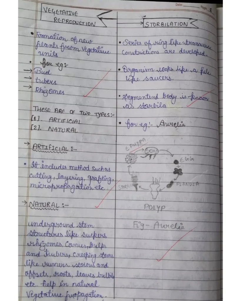 Reproduction in Organisms Class 12 Notes (Handwritten Notes PDF Download) 6 Class 12 Biology Chapter 1 Notes Reproduction in Organisms 006