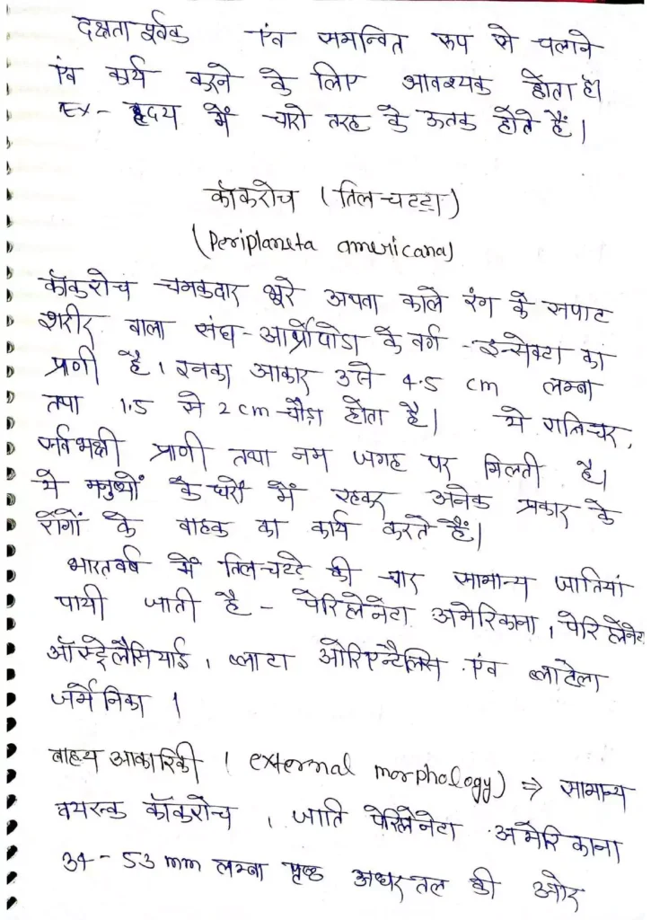 Class 11 Biology Chapter 7 Notes in Hindi प्राणियों में संरचनात्मक संगठन (PDF Download) 17 Class 11 Biology Chapter 7 Notes in Hindi 017