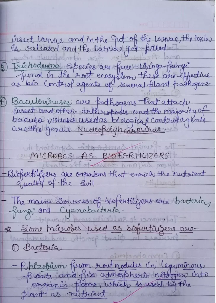 Microbes in Human Welfare Class 12 Biology Chapter 10 Notes (Handwritten Notes PDF Download) 14 Microbes in Human Welfare Class 12 Biology Chapter 10 Notes 014