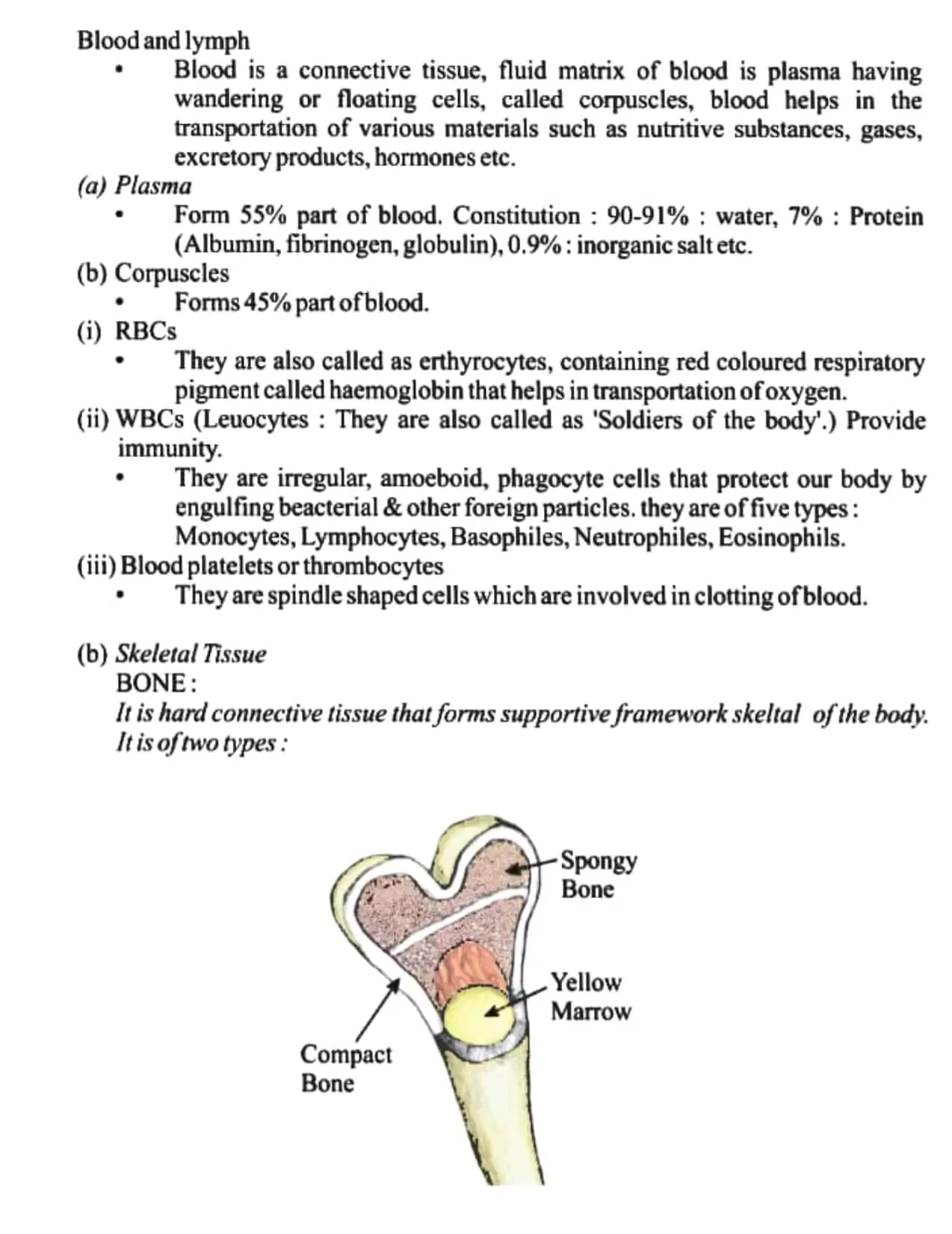 Tissues Class 9 Handwritten Notes Pdf 17 Tissues Class 9 Handwritten Notes 017