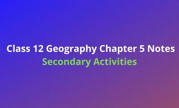 Class 12 Geography Chapter 5 Notes Secondary Activities