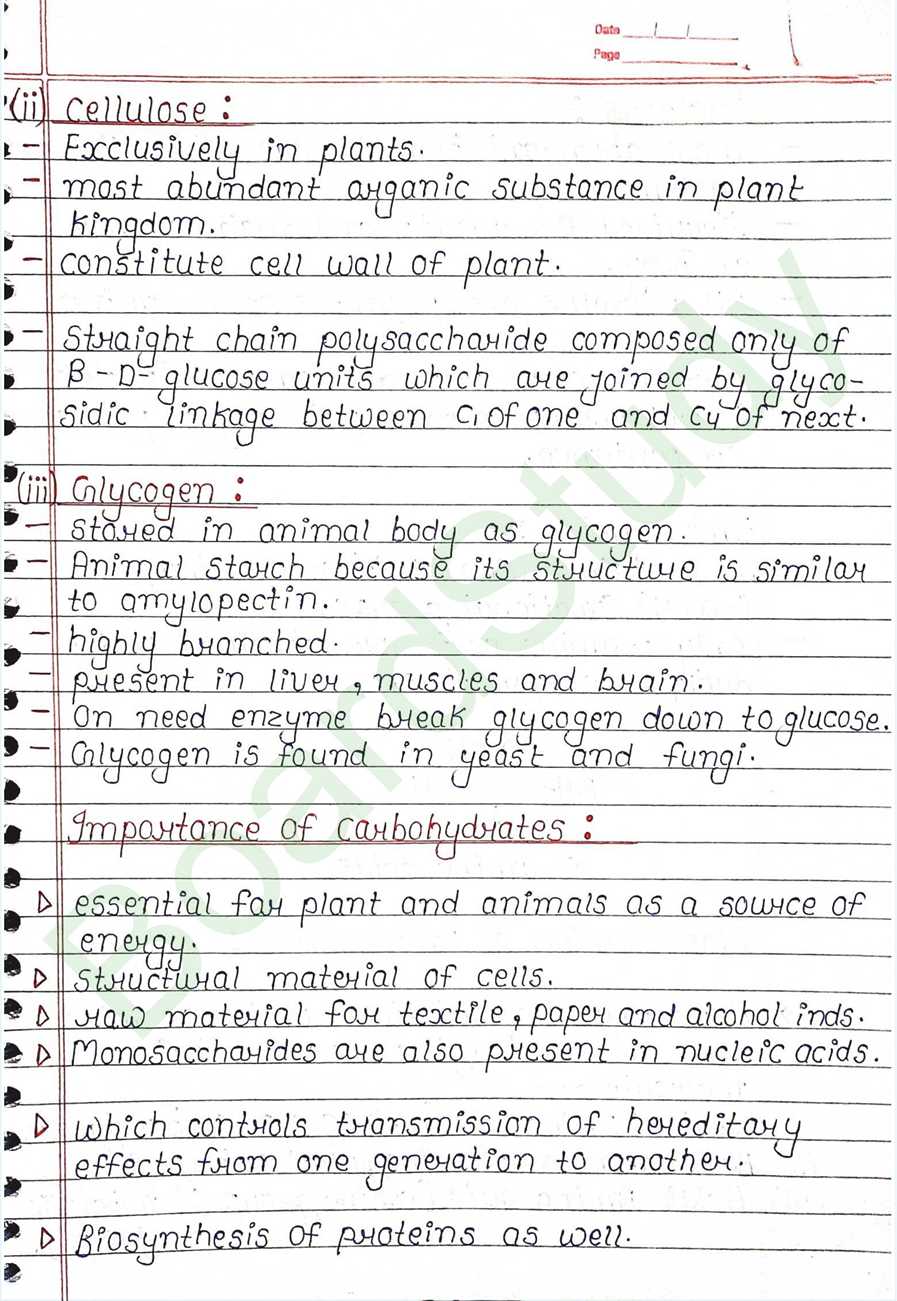NCERT Class 12 Chemistry Chapter 10 Notes Biomolecules (Handwritten PDF Notes) 11 10. Biomolecules page 0011