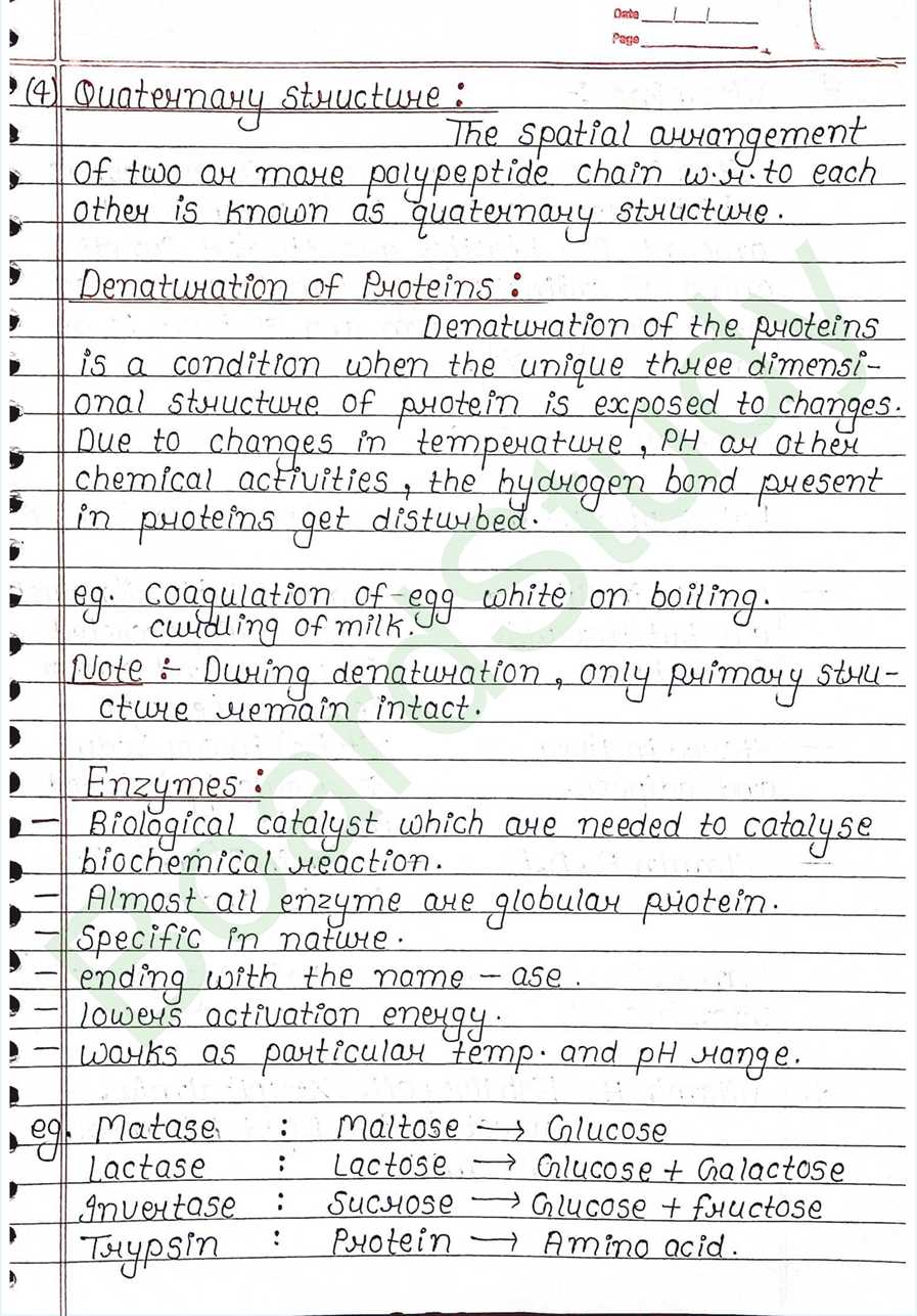 NCERT Class 12 Chemistry Chapter 10 Notes Biomolecules (Handwritten PDF Notes) 17 10. Biomolecules page 0017