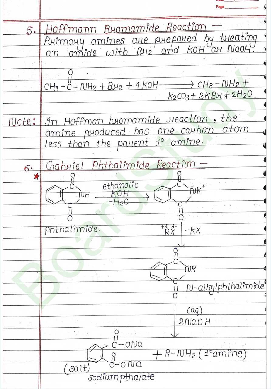 NCERT Class 12 Chemistry Chapter 9 Notes Amines (Handwritten PDF Notes) 8 9. Amines_page-0008