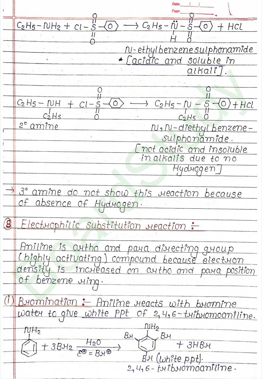 NCERT Class 12 Chemistry Chapter 9 Notes Amines (Handwritten PDF Notes) 19 9. Amines_page-0019