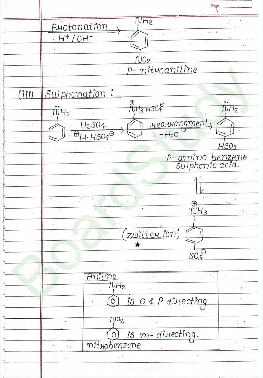 NCERT Class 12 Chemistry Chapter 9 Notes Amines (Handwritten PDF Notes) 22 9. Amines_page-0022