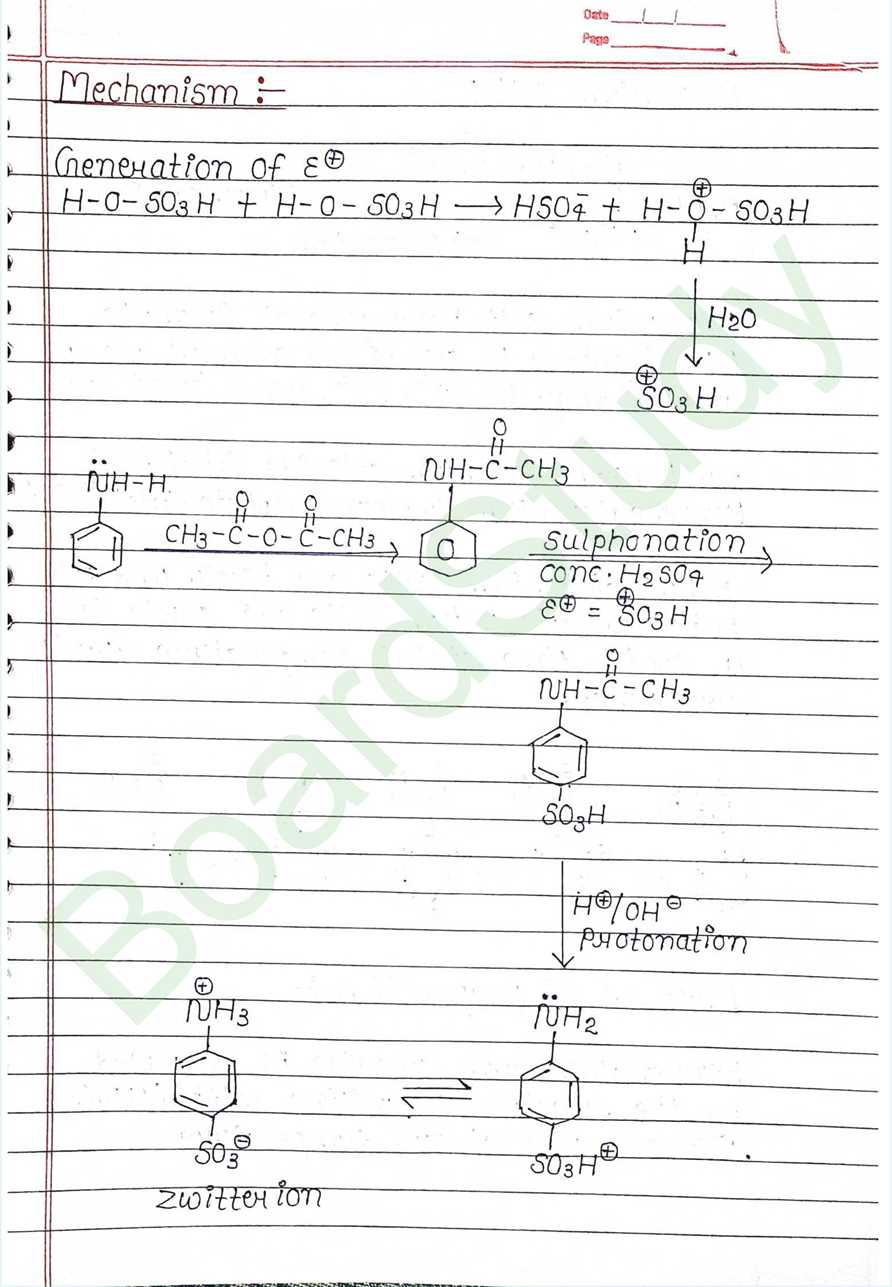 NCERT Class 12 Chemistry Chapter 9 Notes Amines (Handwritten PDF Notes) 23 9. Amines_page-0023