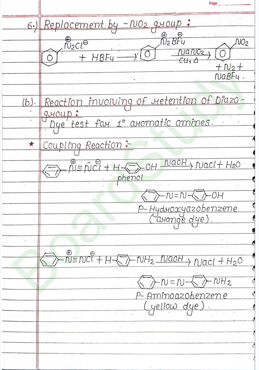 NCERT Class 12 Chemistry Chapter 9 Notes Amines (Handwritten PDF Notes) 28 9. Amines_page-0028